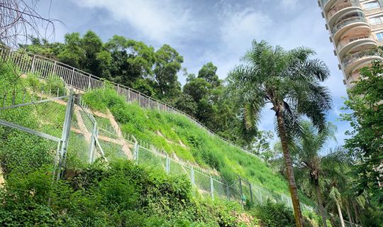 金湖山莊東側(cè)后山邊坡等邊坡治理工程（Ⅱ標段）